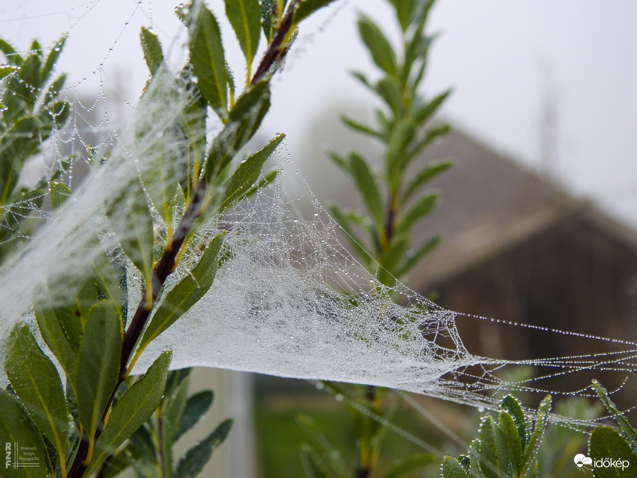 A természet gyöngy ékszerei - Tiszalök