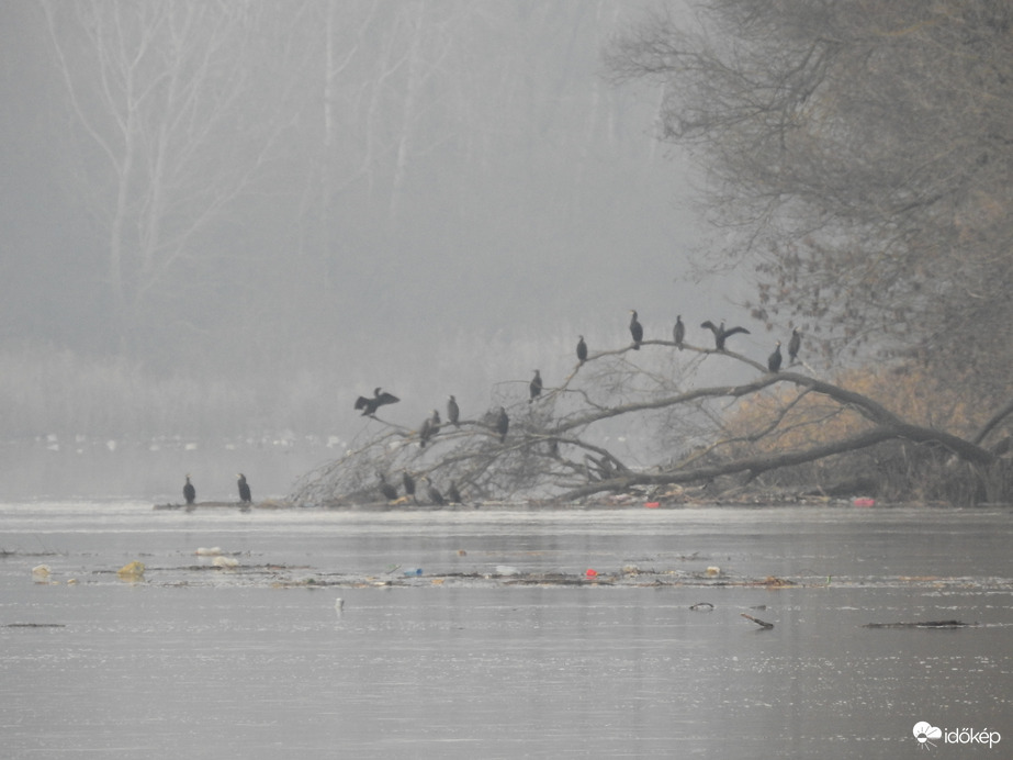 Áradás, jeges ár Tiszalöknél