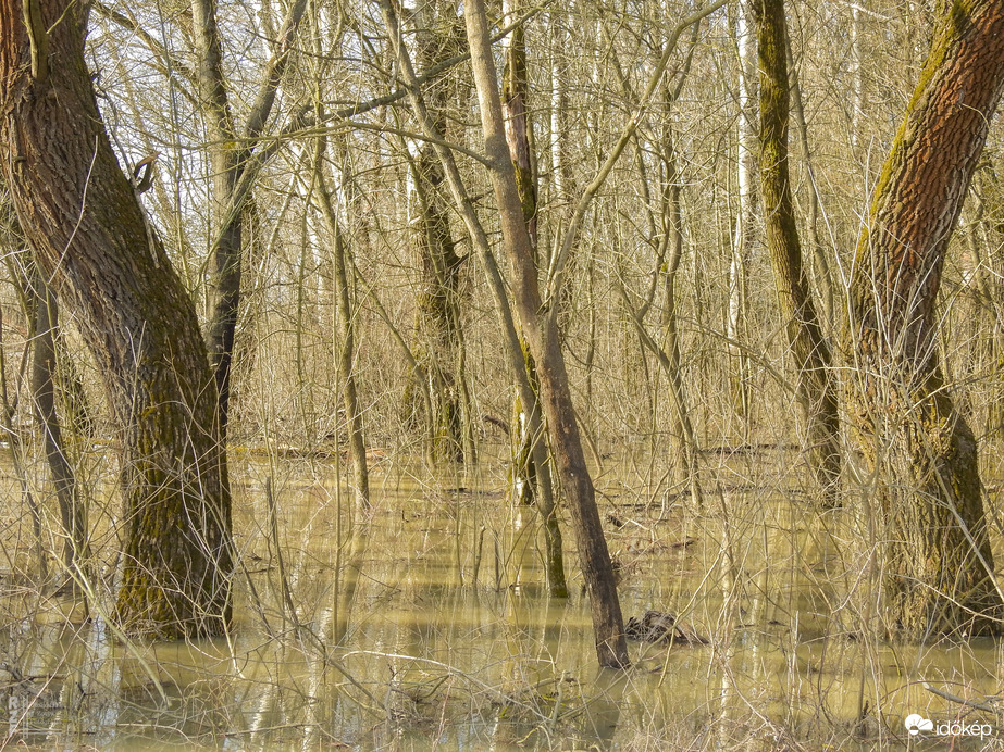 Árvíz, 536 cm, Tiszalök