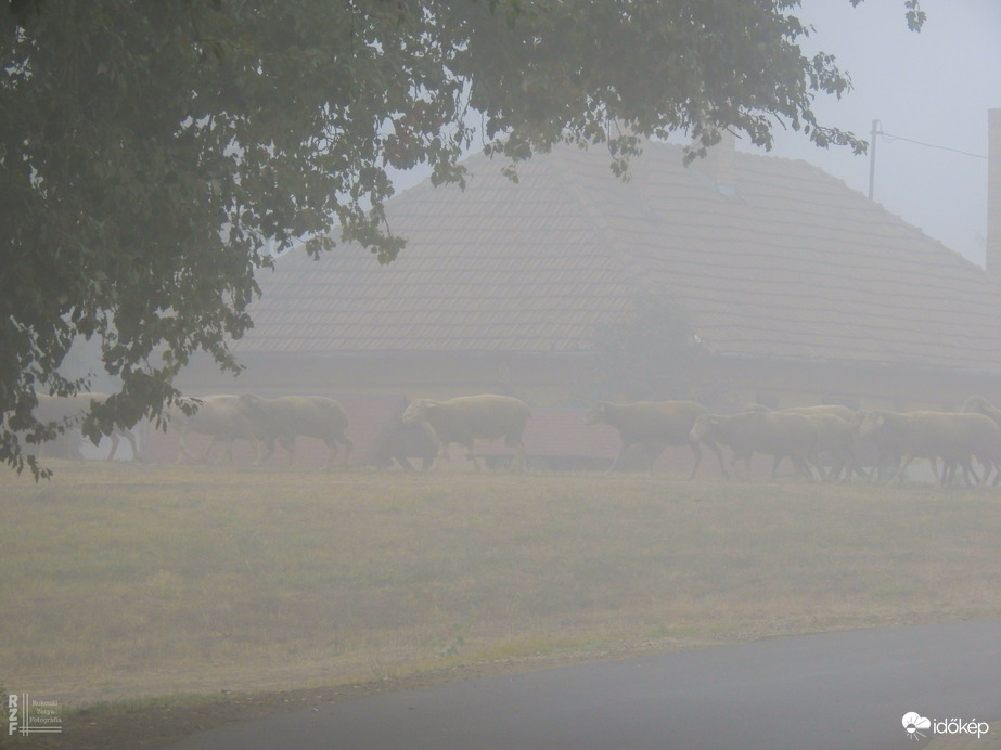 Homályos csend a tiszalöki Kis-Tiszánál