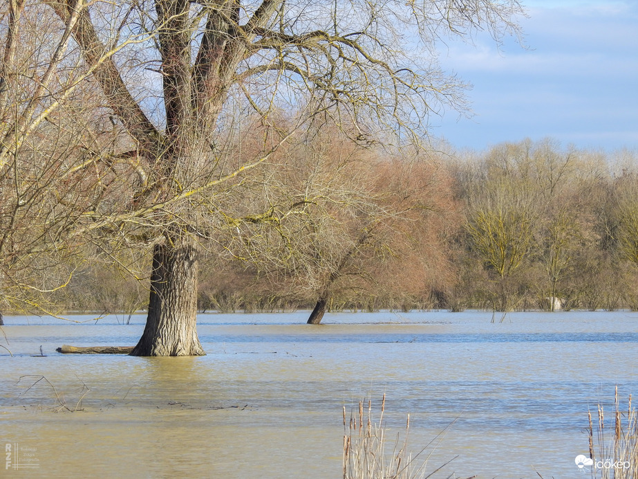 Árvíz, 536 cm, Tiszalök