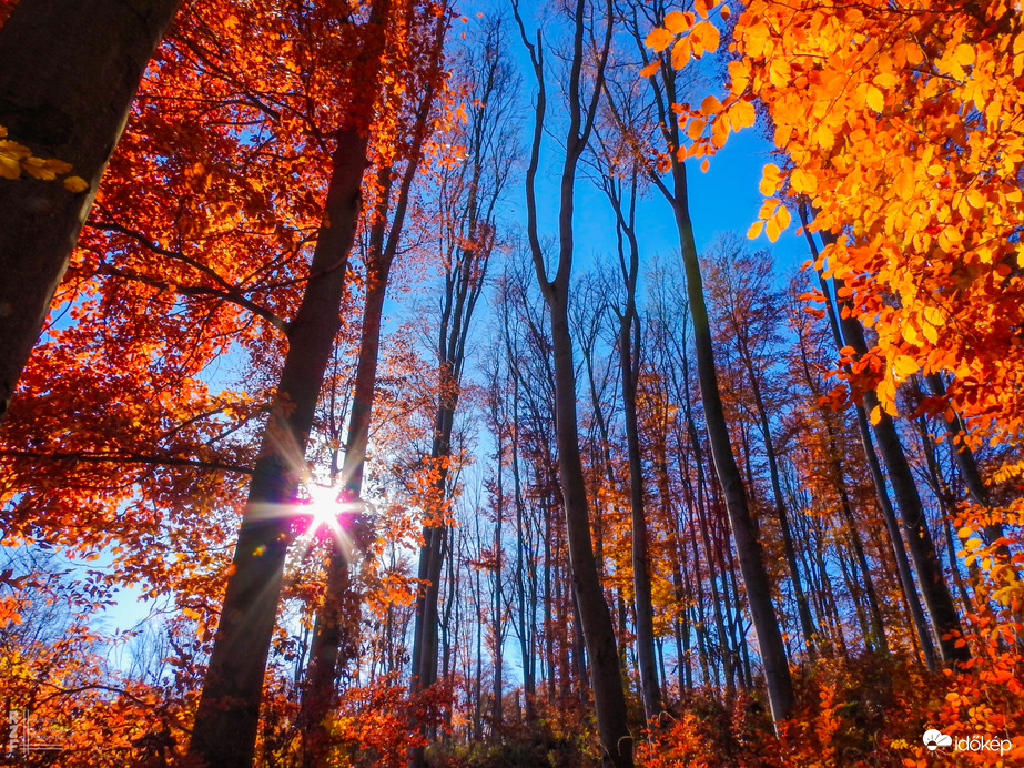Jártamban, keltemben - erdőn, réten