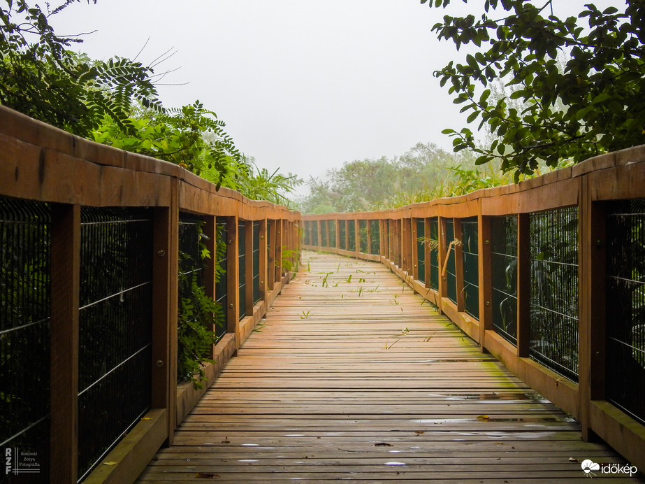 Homályos csend a tiszalöki Kis-Tiszánál