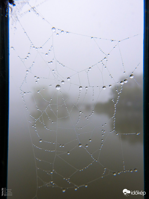 A természet gyöngy ékszerei - Tiszalök