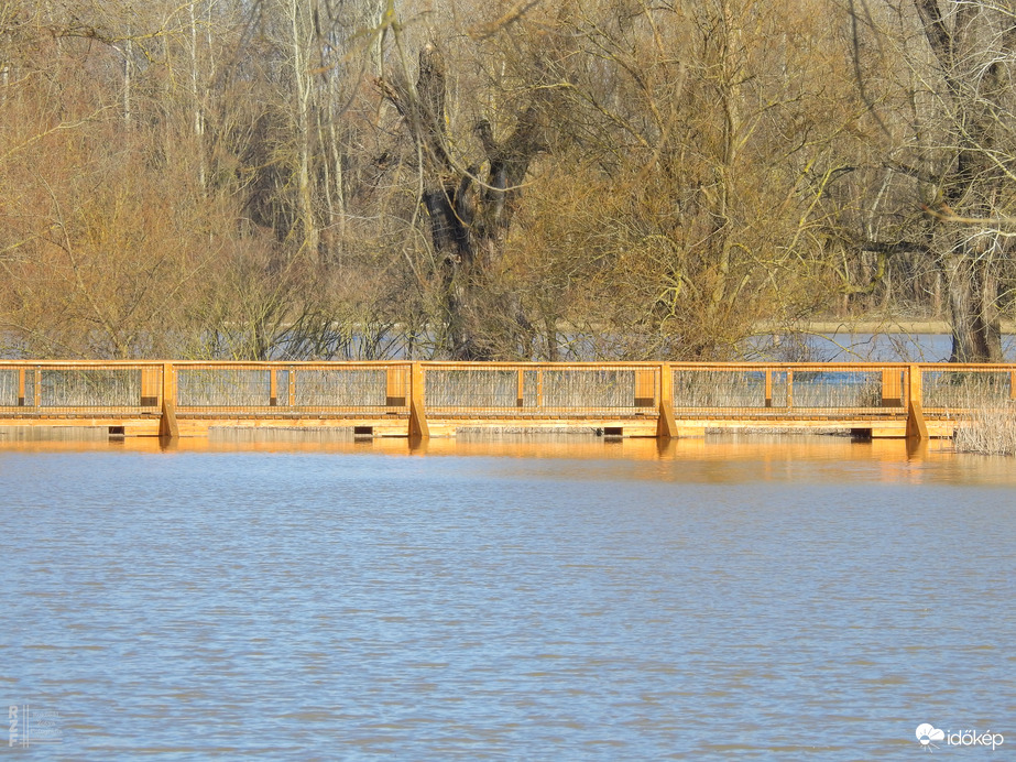 Árvíz, 536 cm, Tiszalök