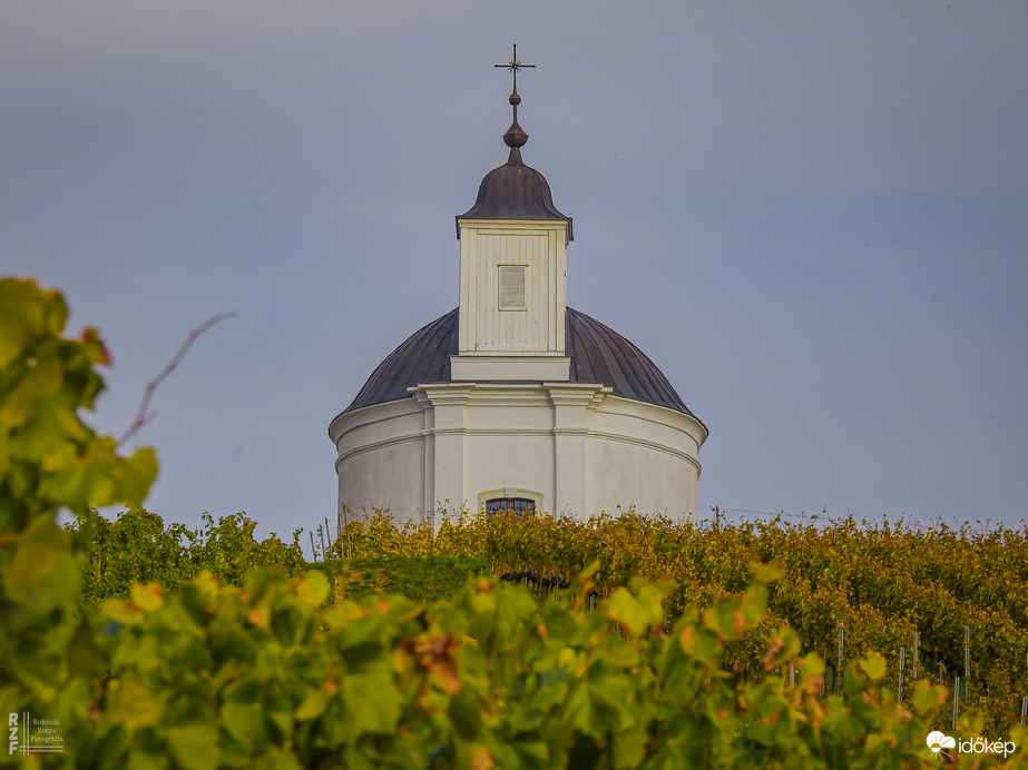 Tarcal – az aranyhegyek kapuja