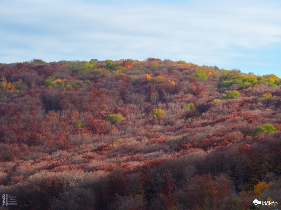 Jártamban, keltemben - erdőn, réten