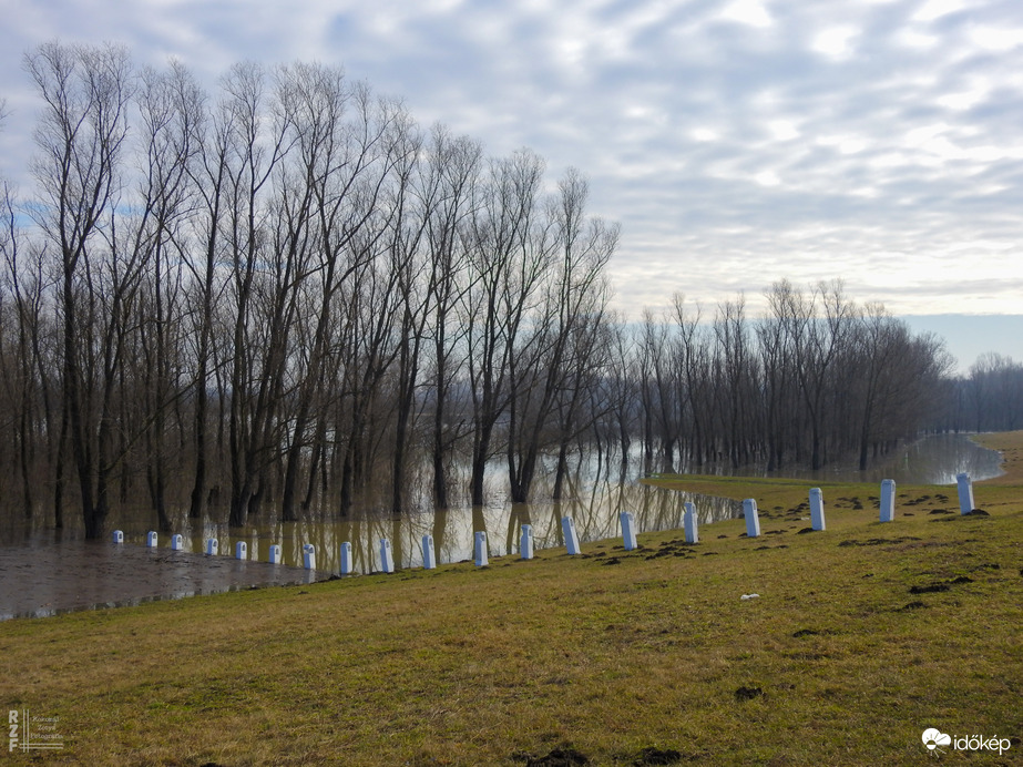 Árvíz, 629 cm, Töltés/Tiszalök