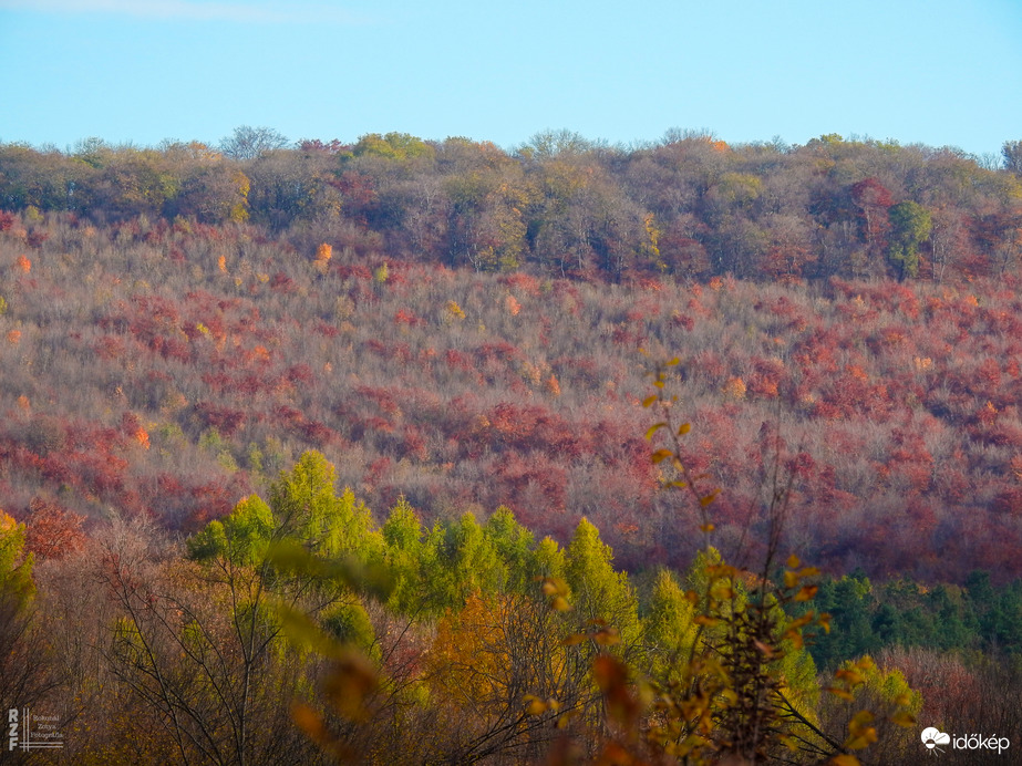 Jártamban, keltemben - erdőn, réten