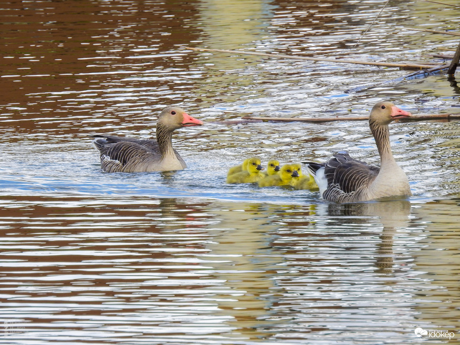 Elindult a "Libasorban" első és második csoportja a Kis-Tisza oviban (Tiszalök)
