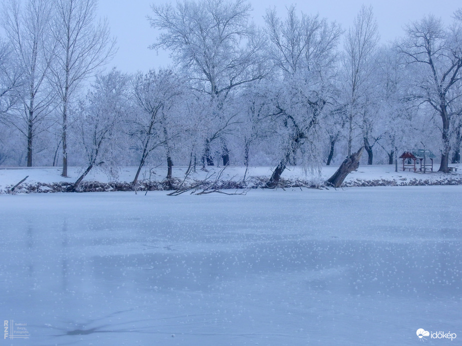 Nem mindennapi fagyvirágok nyílnak a Kis-Tiszán