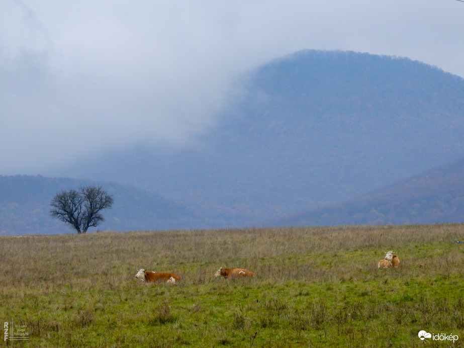 Ködös Zemplén