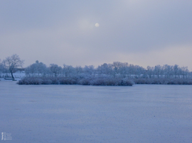Nem mindennapi fagyvirágok nyílnak a Kis-Tiszán