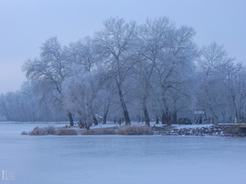 Nem mindennapi fagyvirágok nyílnak a Kis-Tiszán