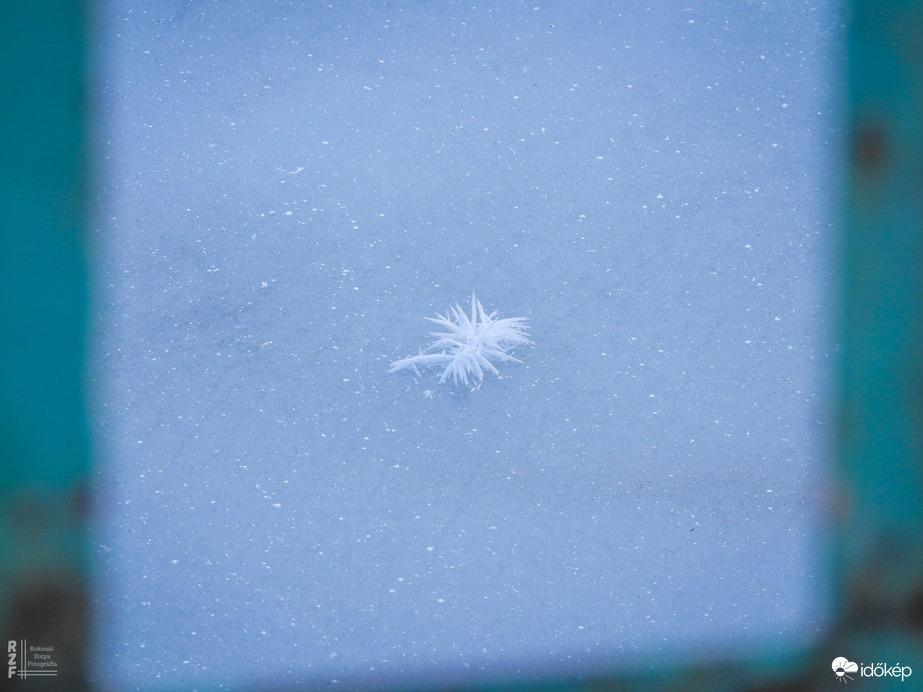 Nem mindennapi fagyvirágok nyílnak a Kis-Tiszán