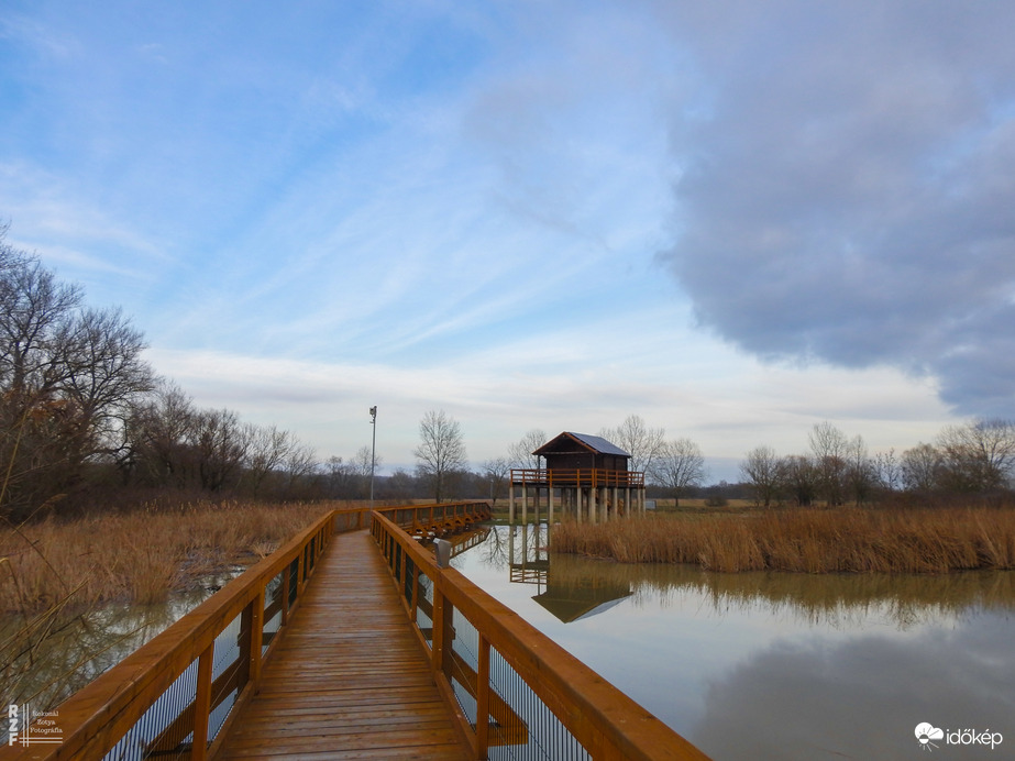 Árvíz, Tiszalök, 515 cm