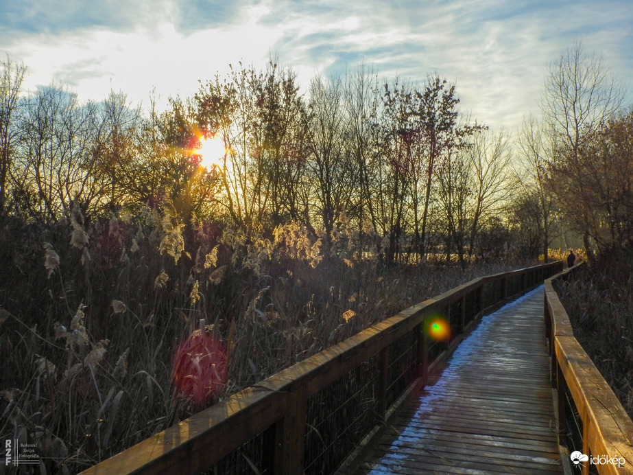 Napsütötte Tiszalök