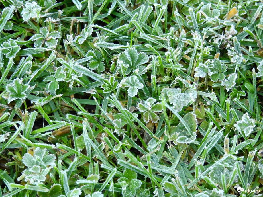 Első fagyos éjszaka 