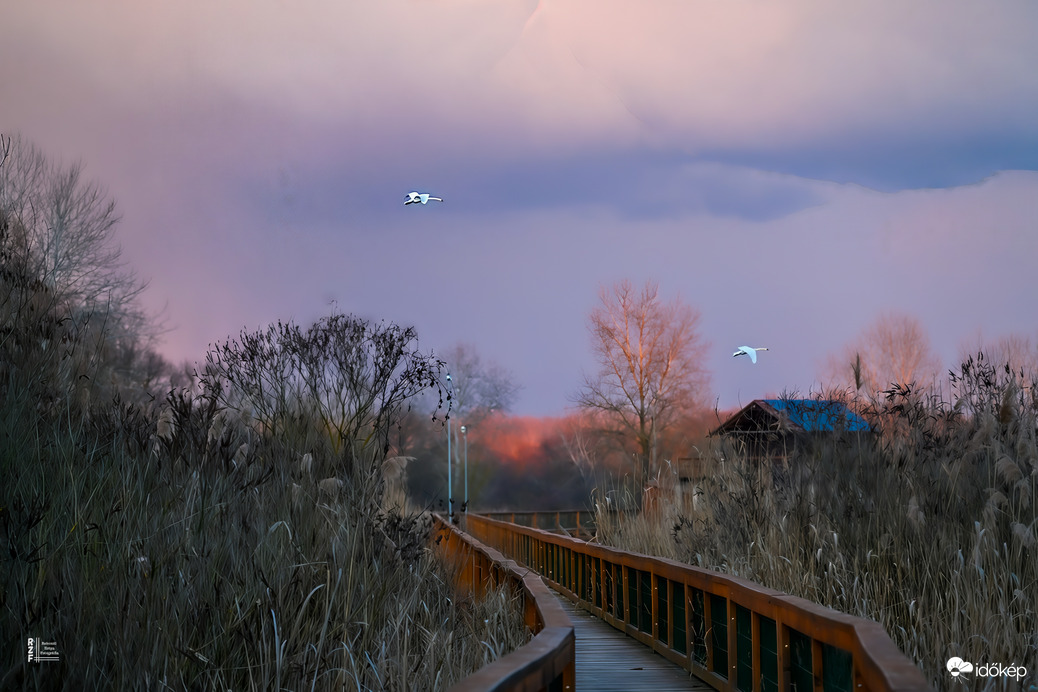 Nyarat idéző távoli záporok Tiszalökről fotózva, amit még a hattyúk is meglestek