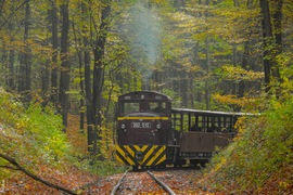 Kisvasút, nagy gesztus