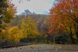 Kisvasút, nagy gesztus
