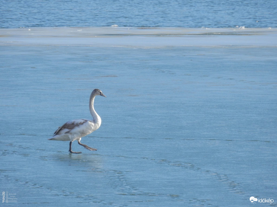 Vajon teljesen befagyhat a Tisza?