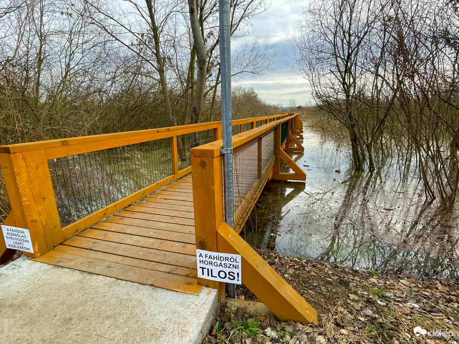 Árvíz, Tiszalök, 515 cm