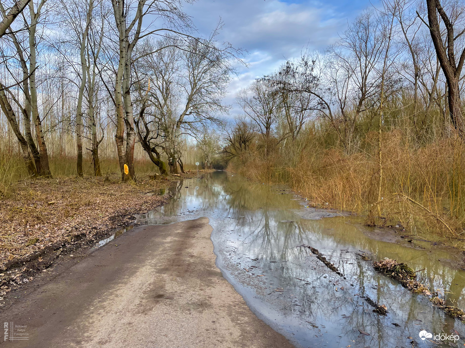 Árvíz, Tiszalök, 515 cm