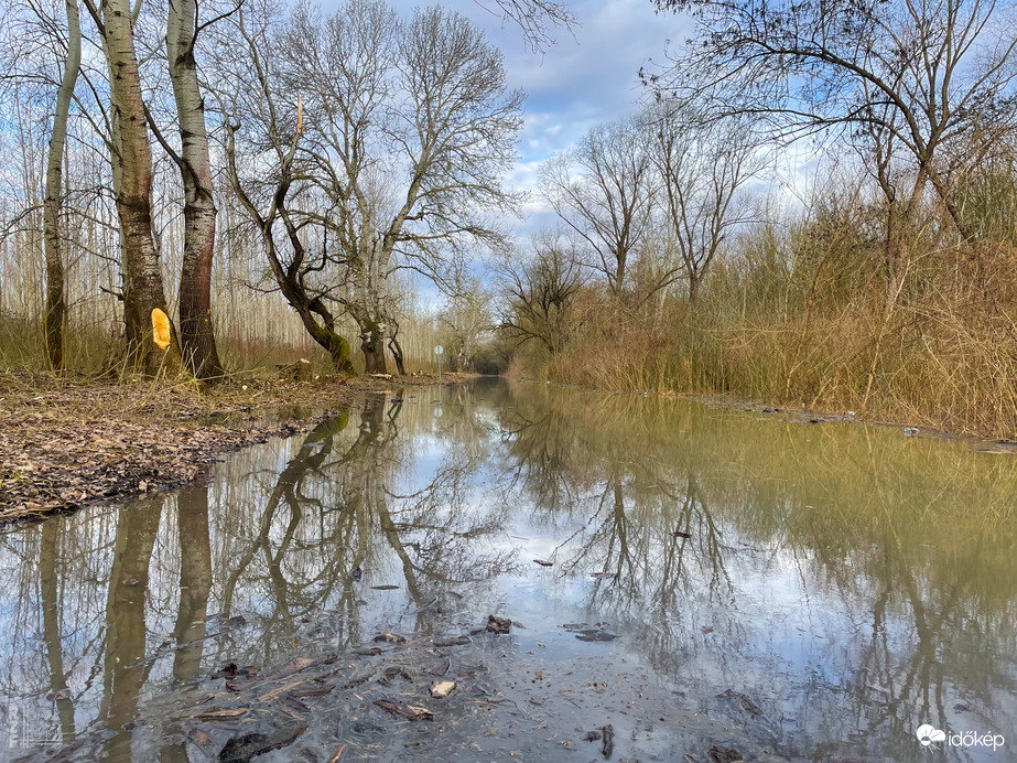 Árvíz, Tiszalök, 515 cm