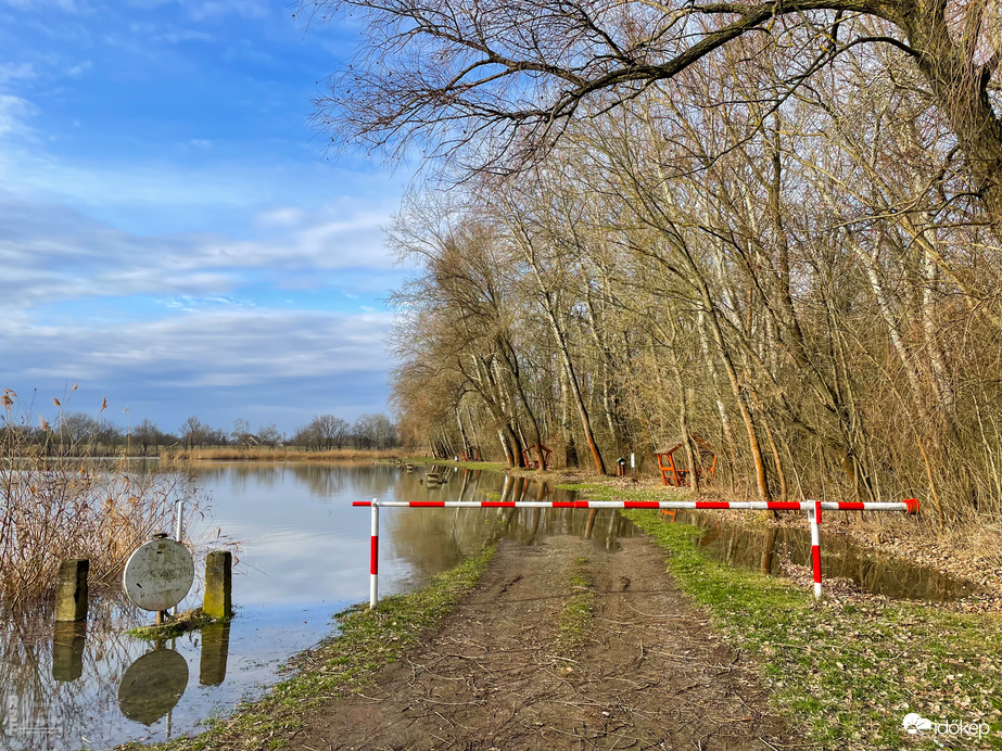 Árvíz, Tiszalök, 515 cm