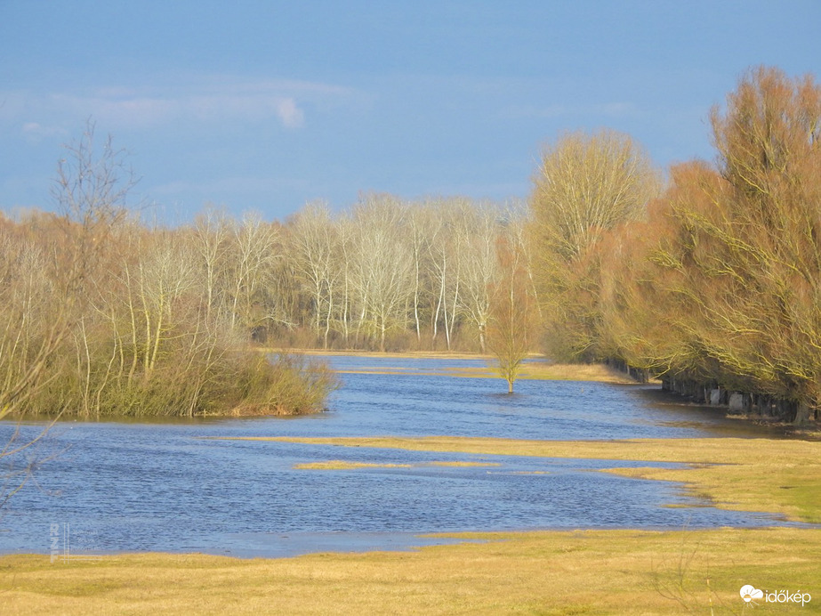 Árvíz, 520 cm, Tiszalök-fűz