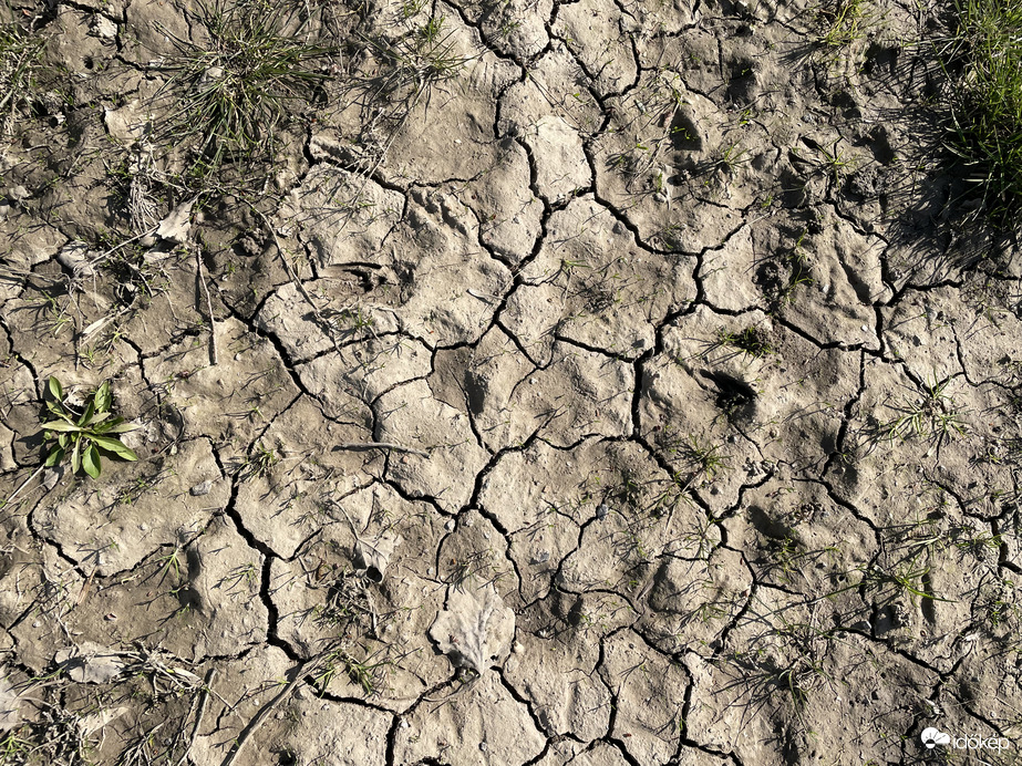 Cserepes talaj Tiszalök. Pár hete itt még árvíz volt.