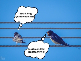 Húsvéti vita
