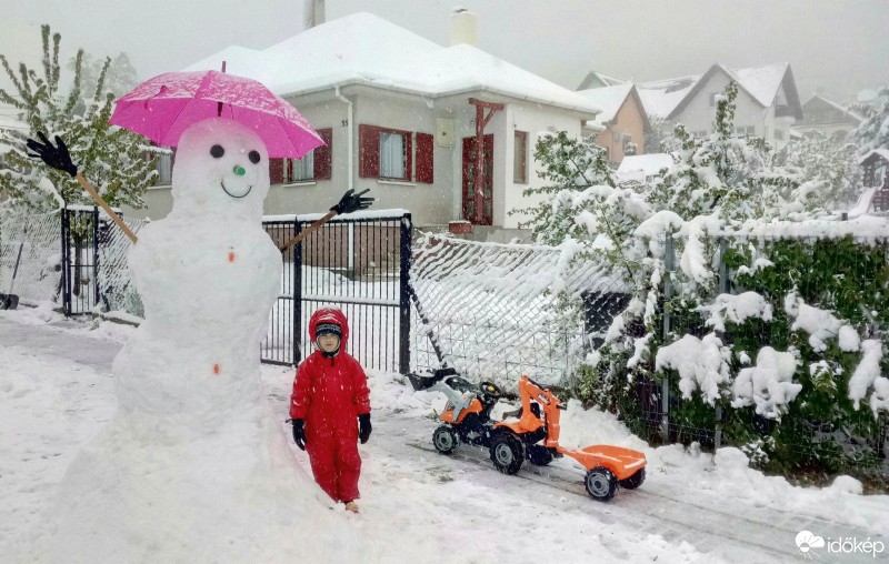 Észlelési fényképek