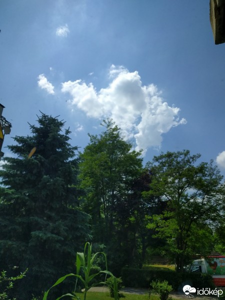 Észlelési fényképek