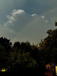 Csabai szivárvány esőcseppekkel