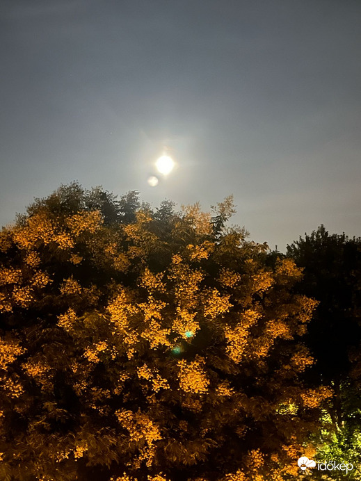 Észlelési fényképek