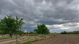 Nyúl