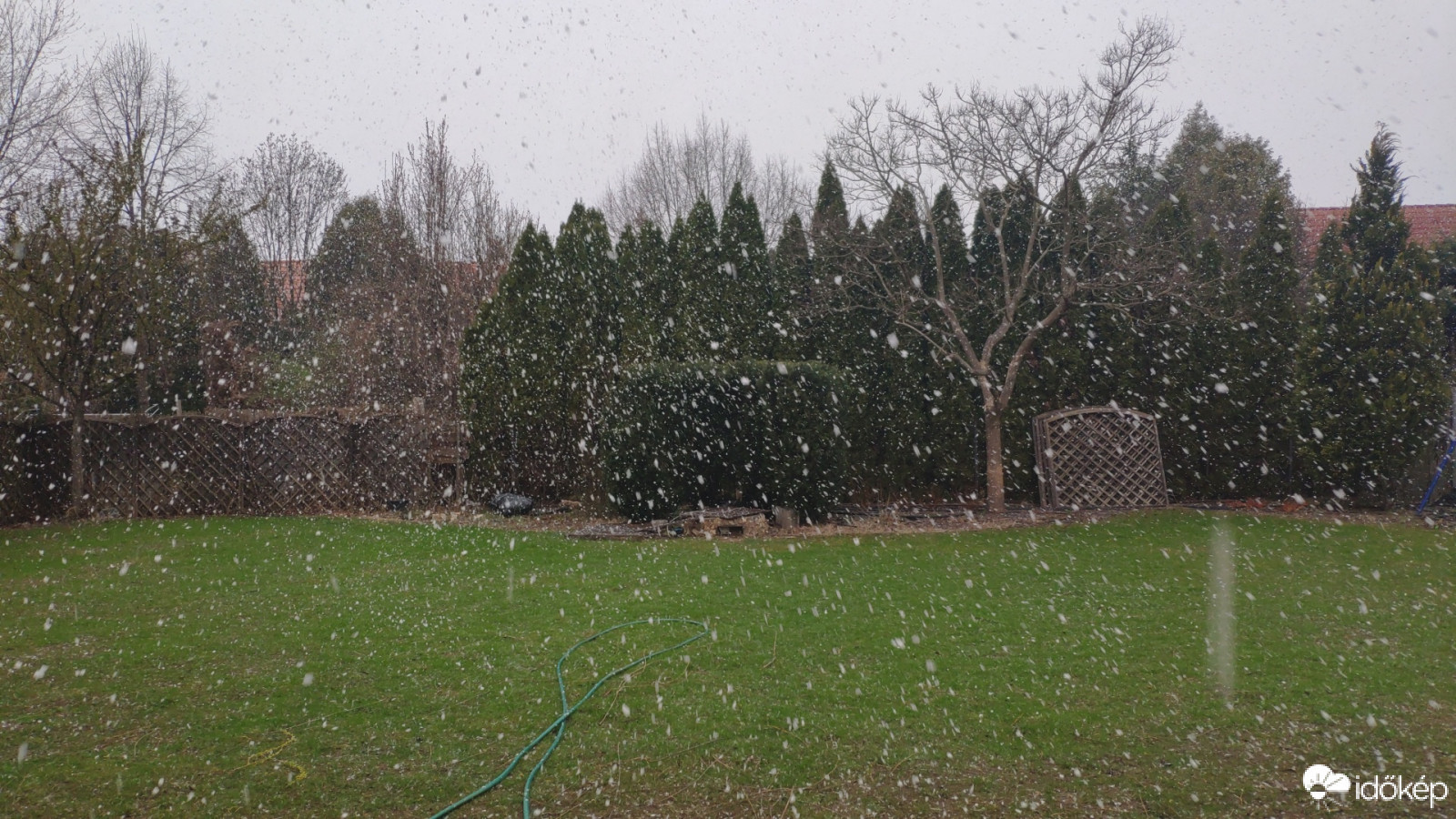 Észlelési fényképek