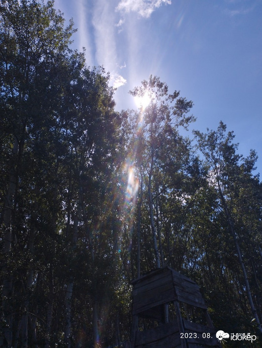 Észlelési fényképek