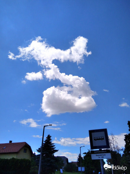 Észlelési fényképek