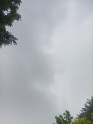 Törtel