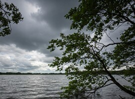 Borongós reggelen