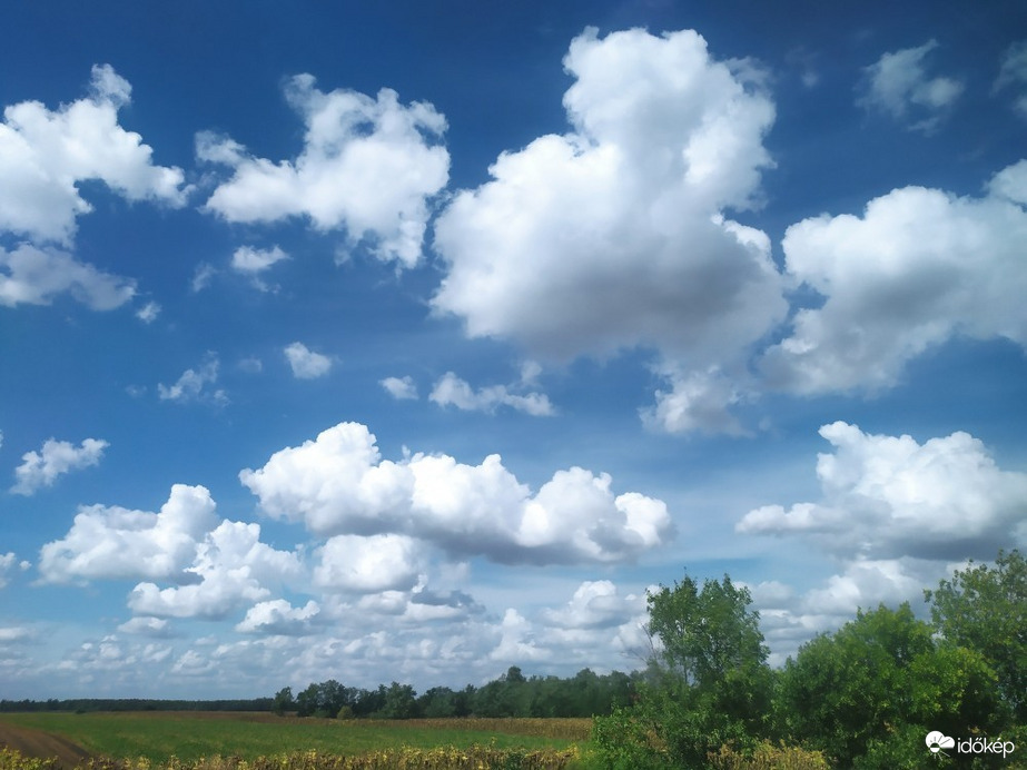 Észlelési fényképek