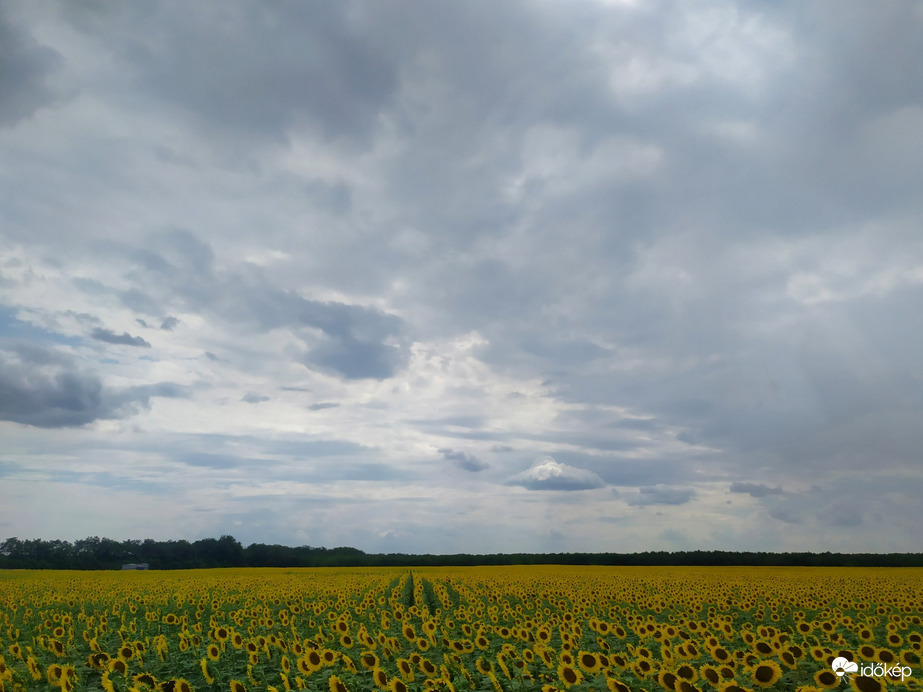 Észlelési fényképek