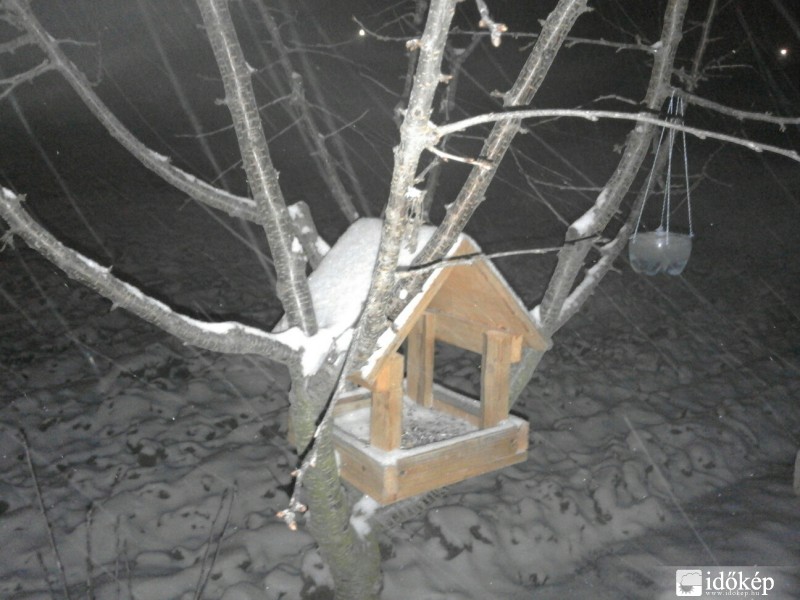 Észlelési fényképek