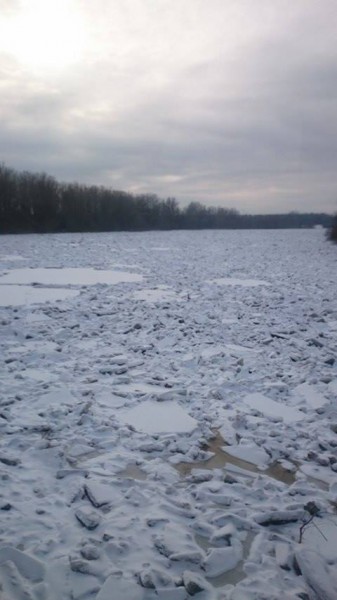 A Tisza Záhonynál, 2017.02.08
