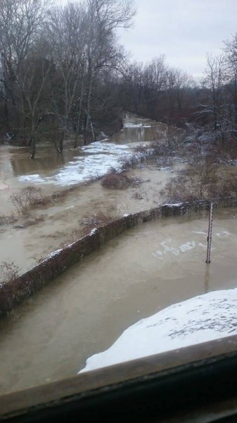 A Tisza Záhonynál, 2017.02.08 