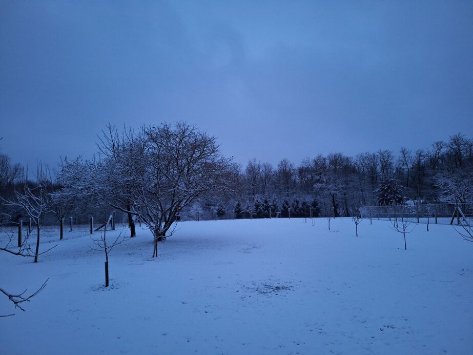 Fotó: Biczó Bettina (Őrség)