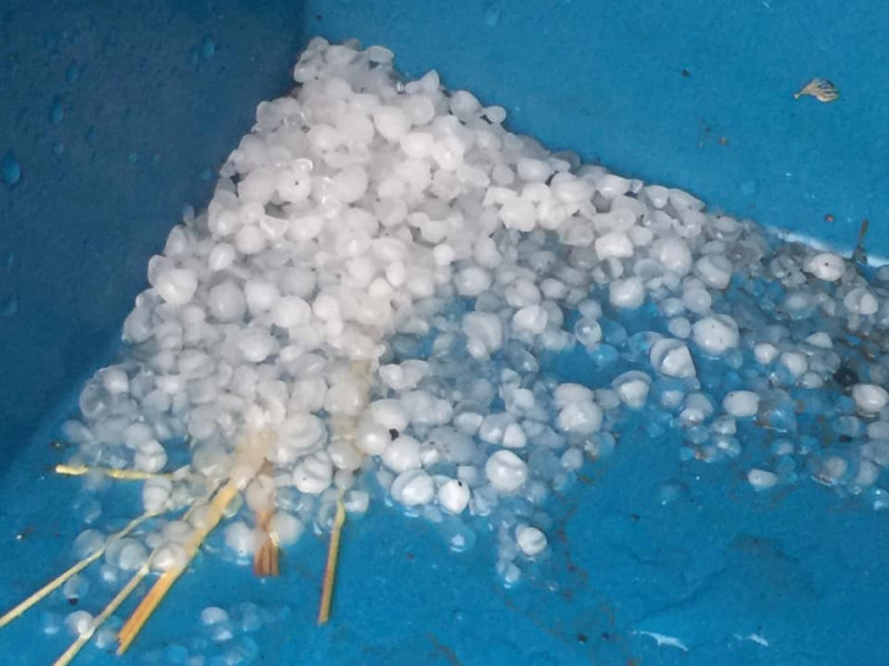 Farkas László fotója